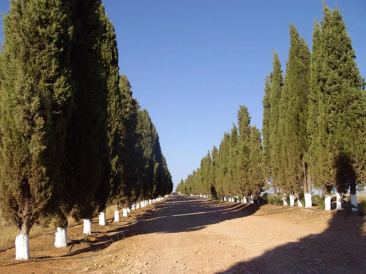 Humilladero Cortijo Ferradores旅馆 乡村民宿
