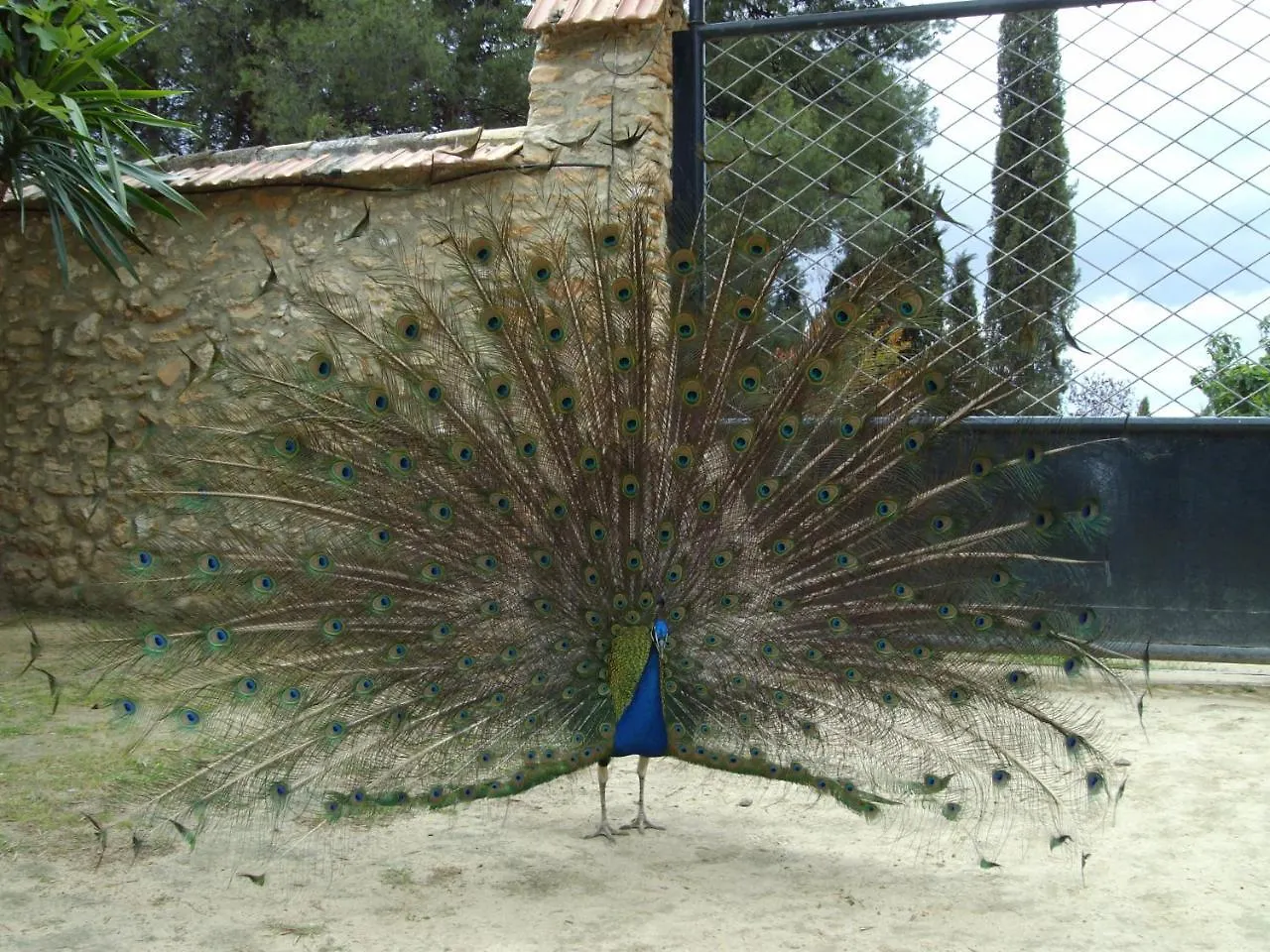 Cortijo Ferradores Humilladero Country house